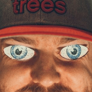 Oaks : Knowledge Spice